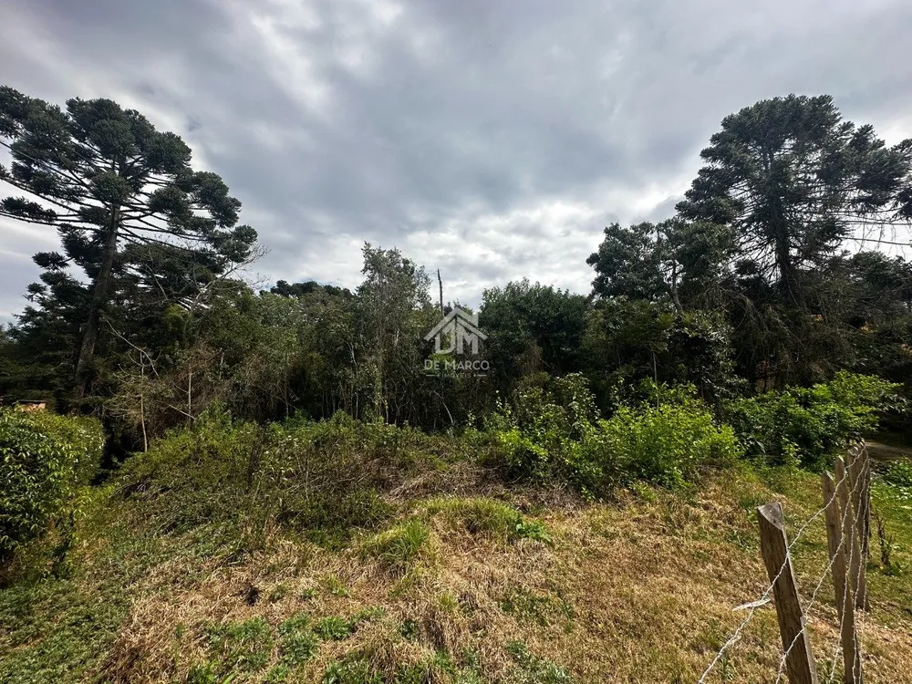 Terreno, 1000 m² - Foto 2