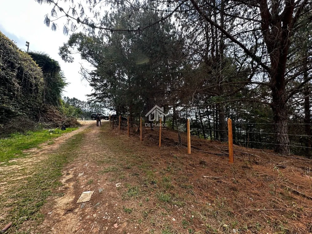 Terreno, 1181 m² - Foto 6