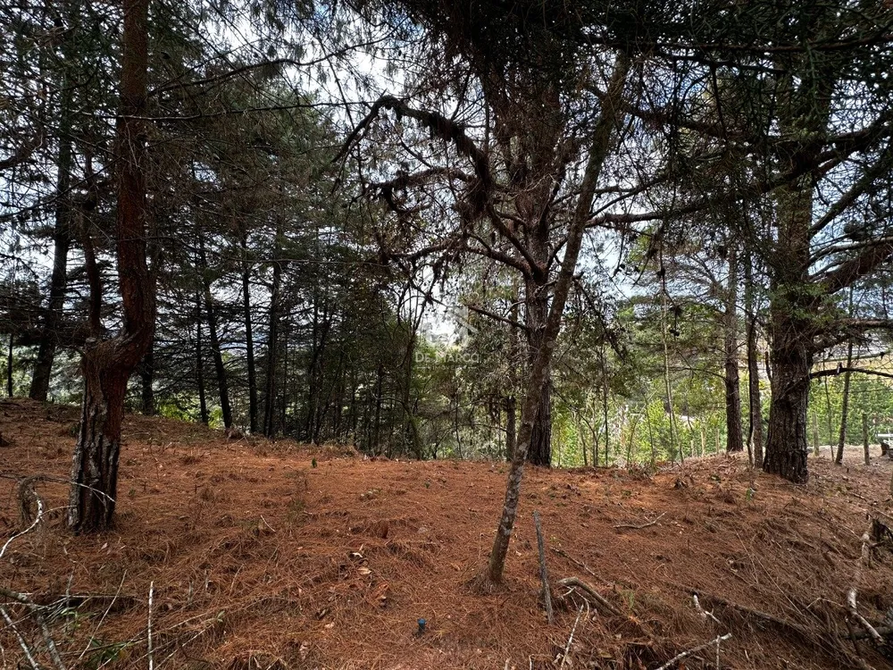 Terreno, 1181 m² - Foto 3