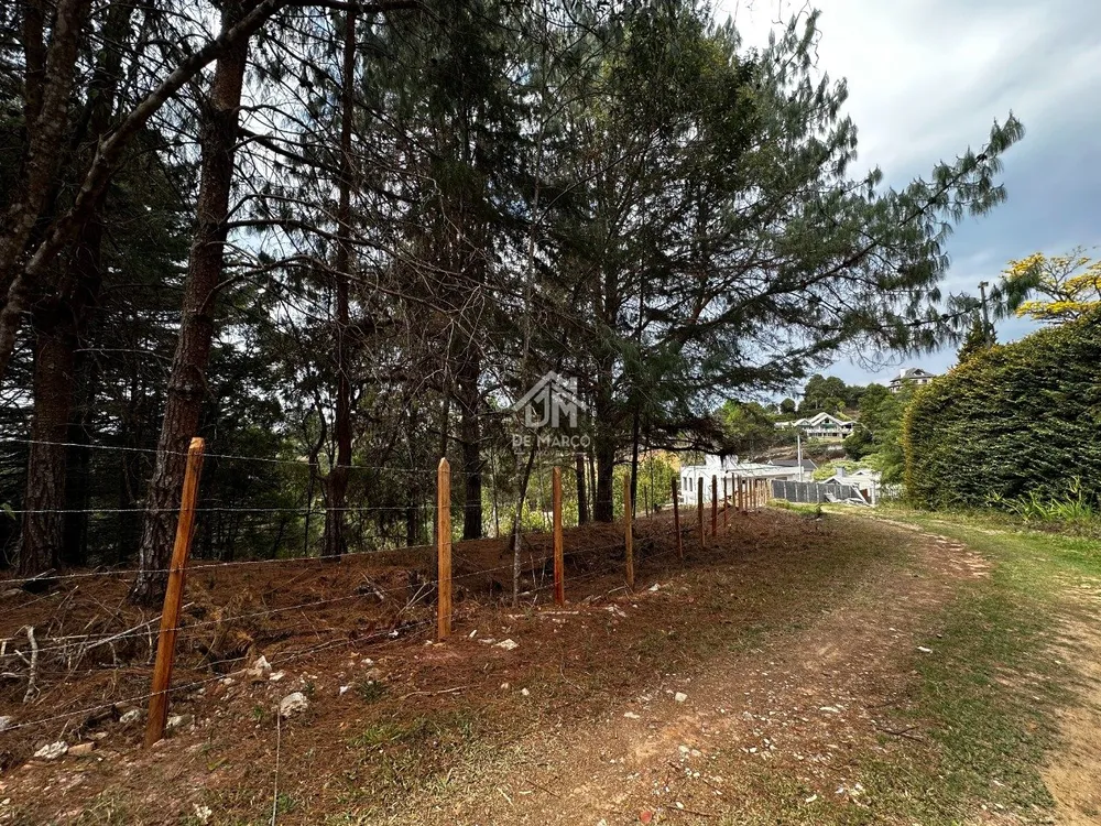 Terreno, 1181 m² - Foto 8