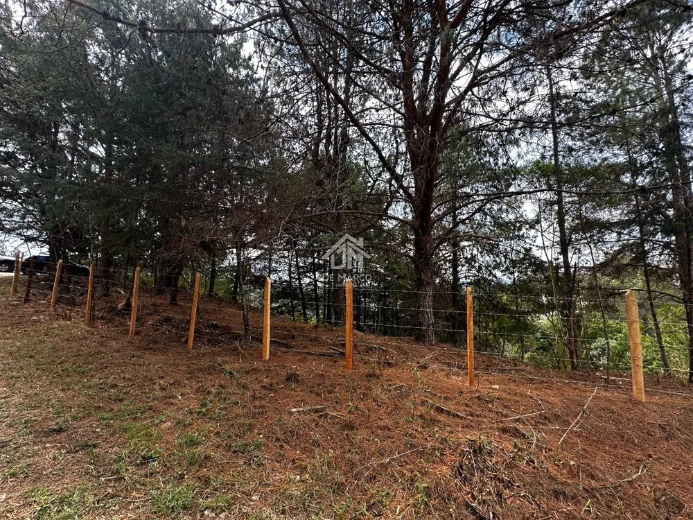 Terreno, 1181 m² - Foto 4