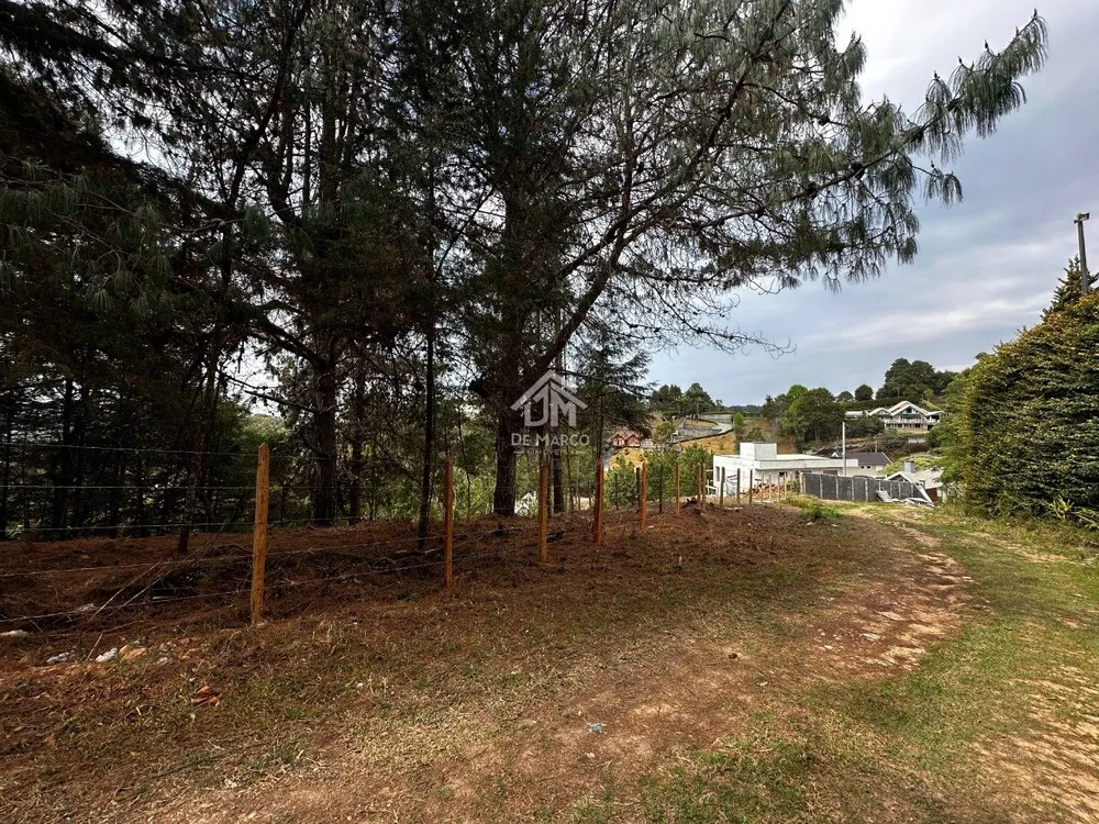Terreno, 1181 m² - Foto 8