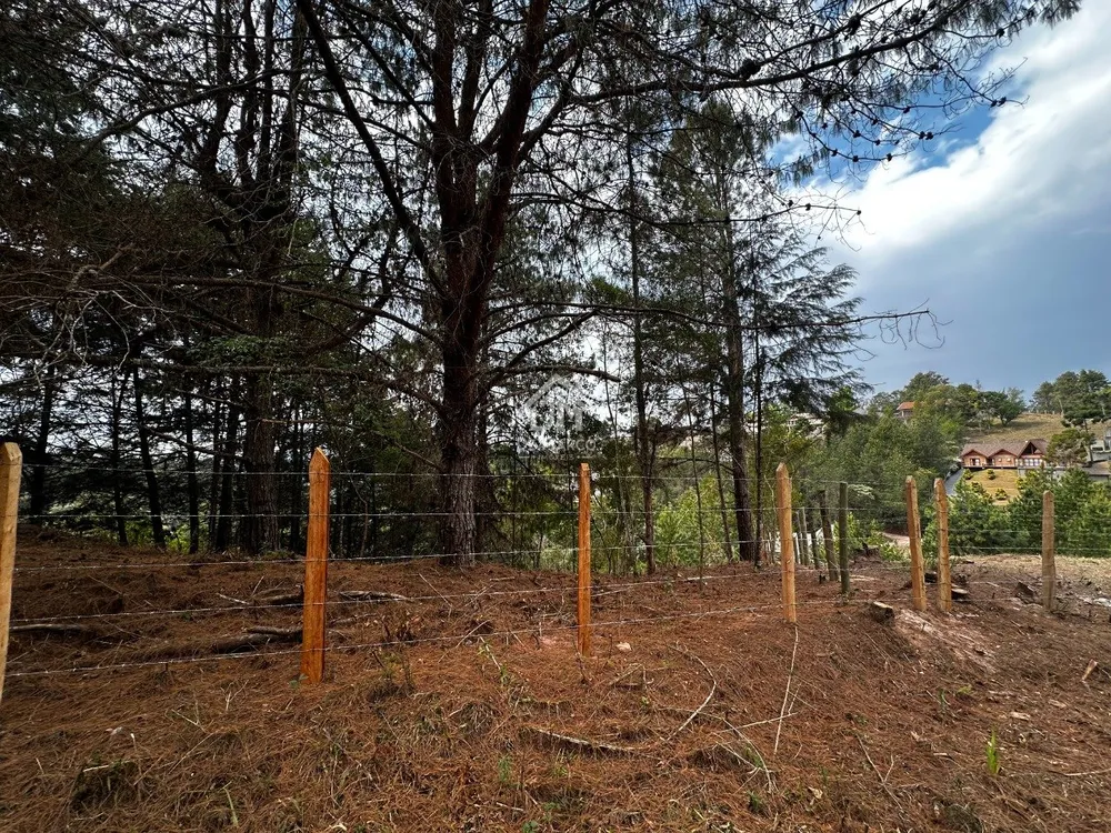 Terreno, 1181 m² - Foto 5
