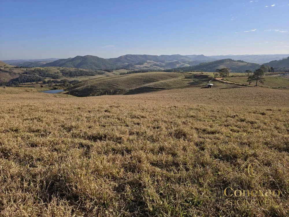 Fazenda, 171 hectares - Foto 3
