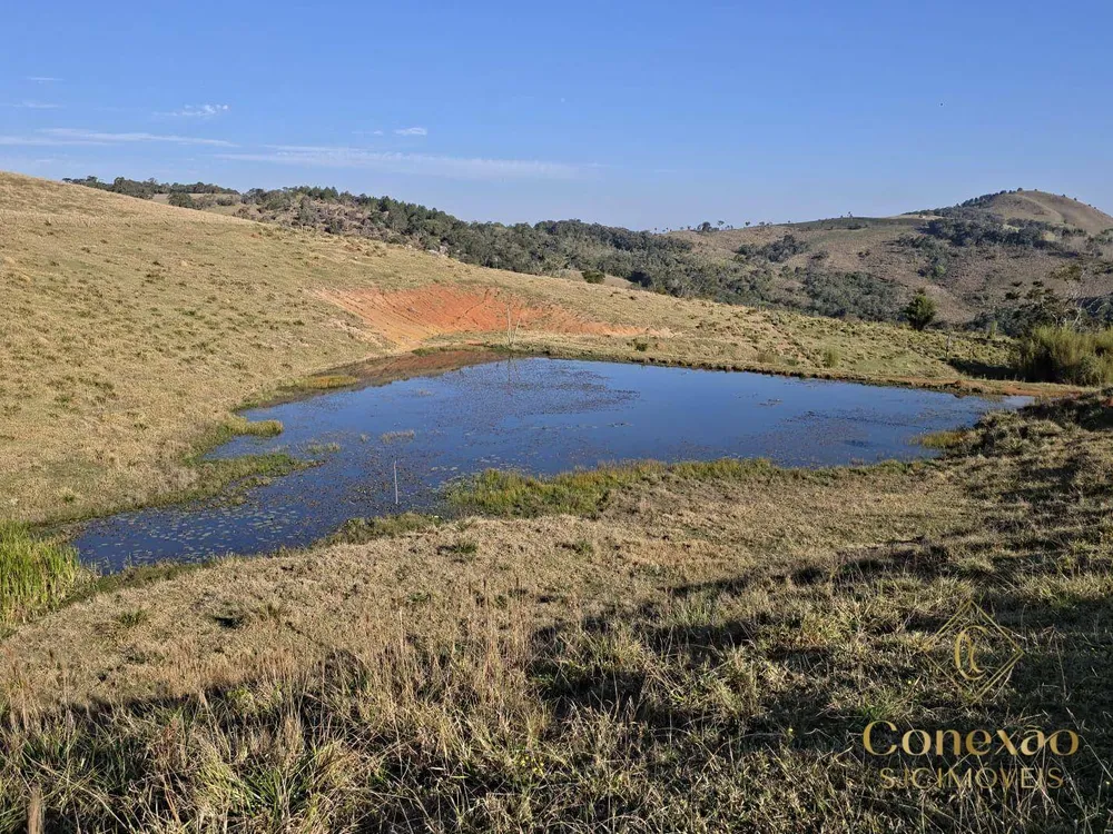 Fazenda, 171 hectares - Foto 9