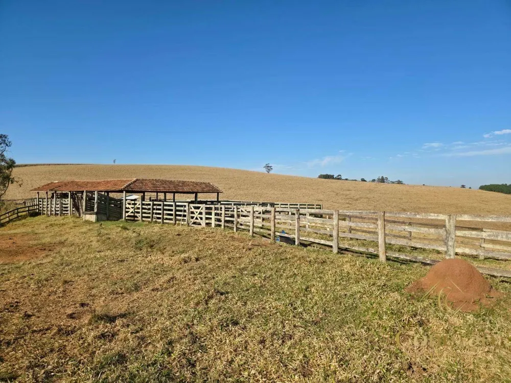 Fazenda, 171 hectares - Foto 2