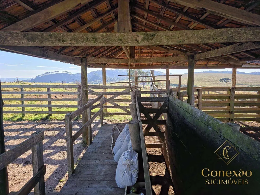 Fazenda, 171 hectares - Foto 4