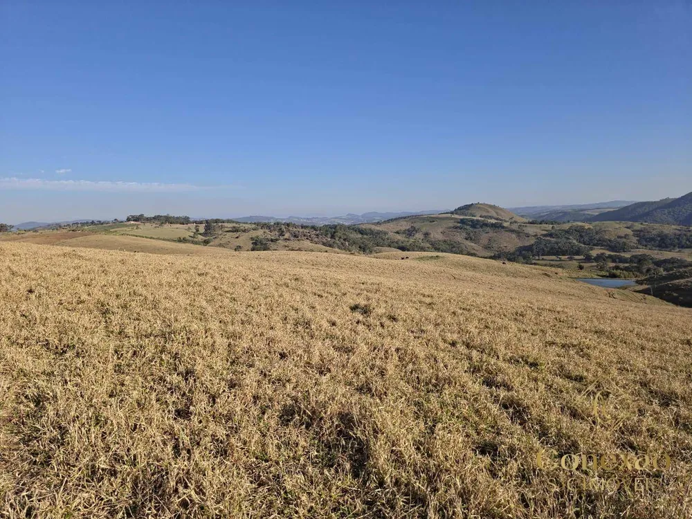 Fazenda, 171 hectares - Foto 10