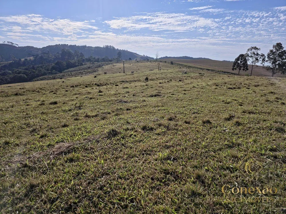 Fazenda, 171 hectares - Foto 5