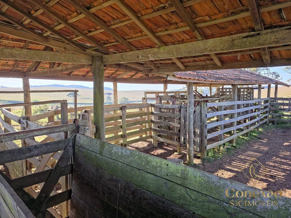 Fazenda, 171 hectares - Foto 8