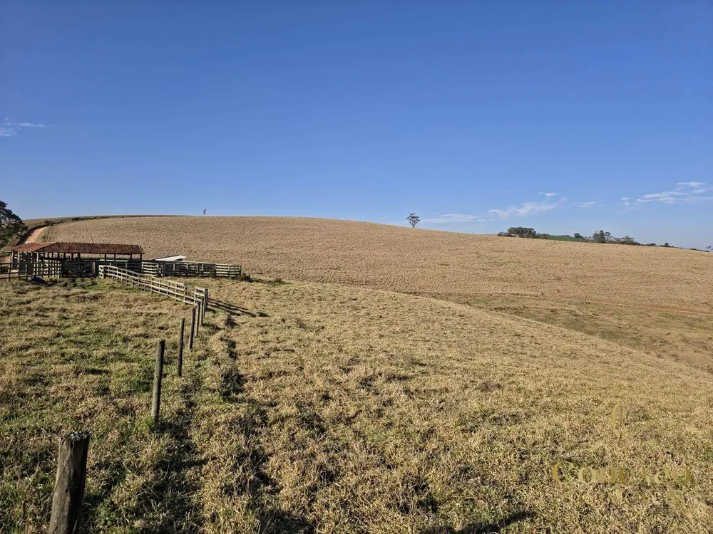Fazenda, 171 hectares - Foto 11