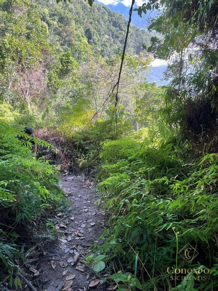 Terreno, 1 hectares - Foto 6