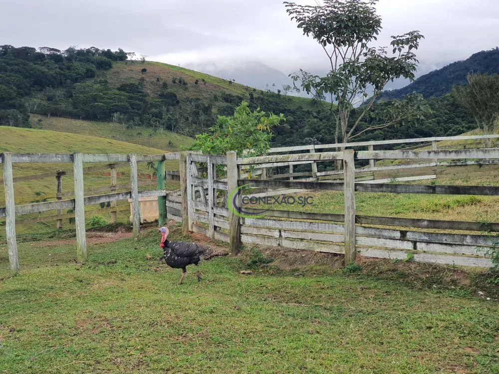 Sítio à venda com 3 quartos, 290000M2 - Foto 1