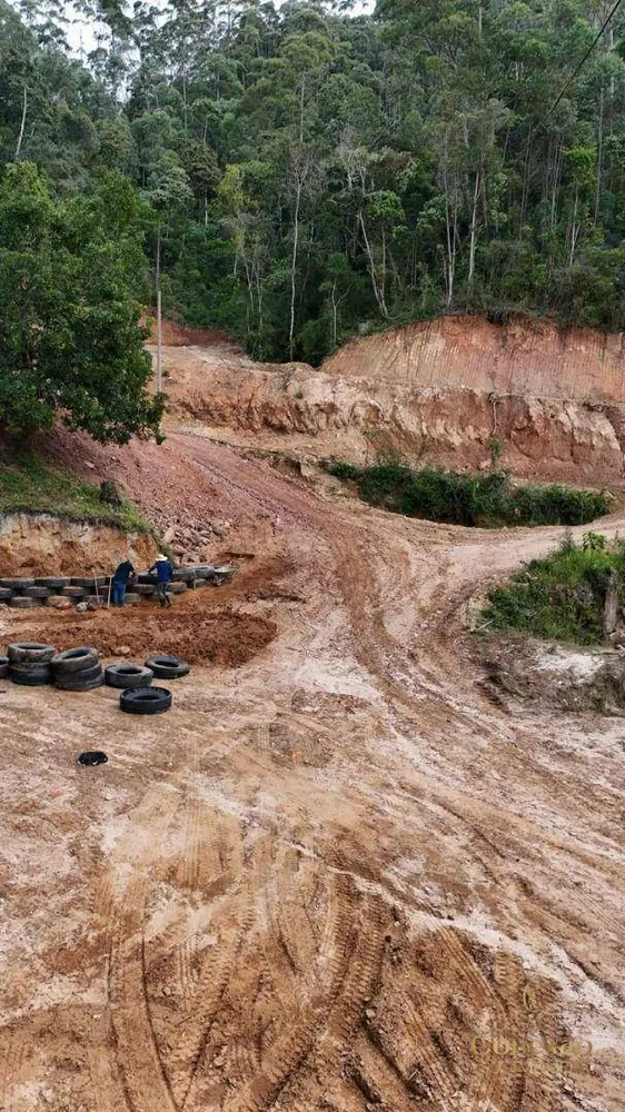 Fazenda, 266 hectares - Foto 1