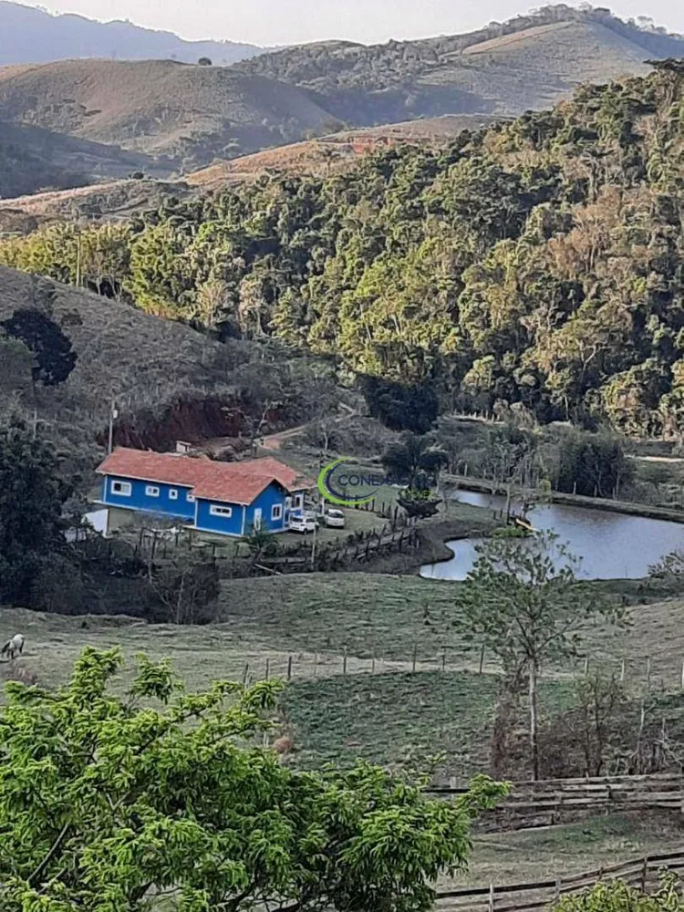 Fazenda, 66 hectares - Foto 4