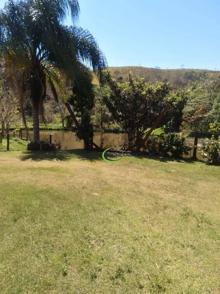 Fazenda, 66 hectares - Foto 8