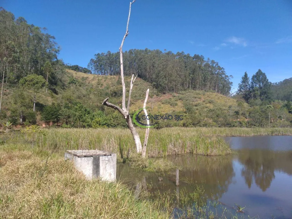 Fazenda, 145 hectares - Foto 14