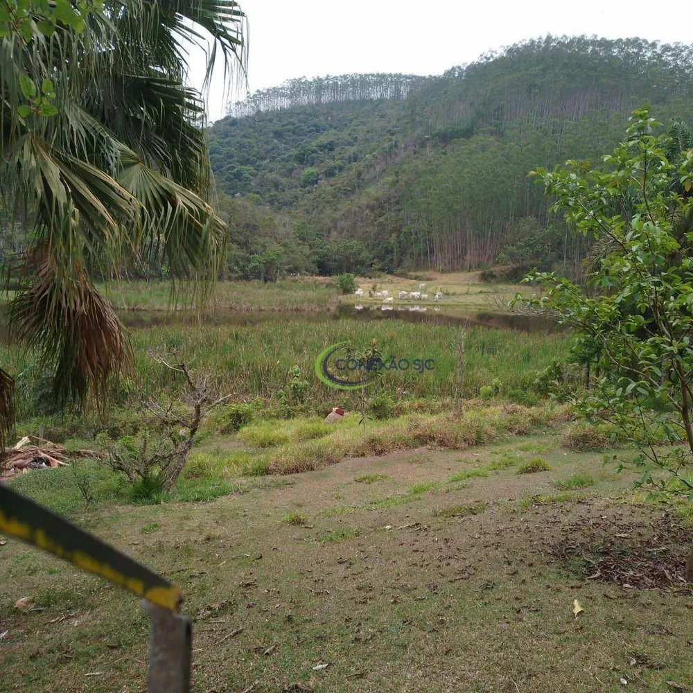 Fazenda, 145 hectares - Foto 9