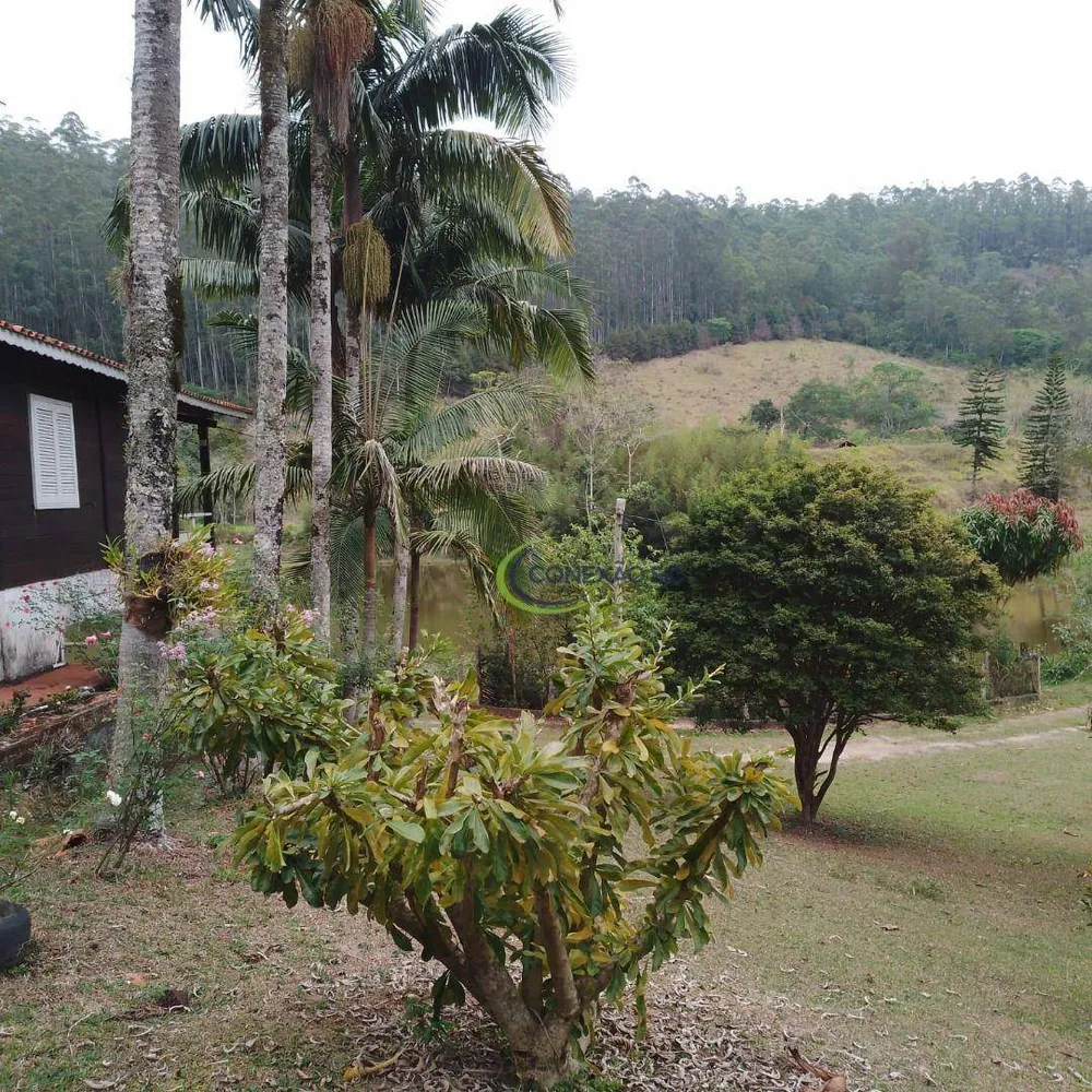 Fazenda, 145 hectares - Foto 10