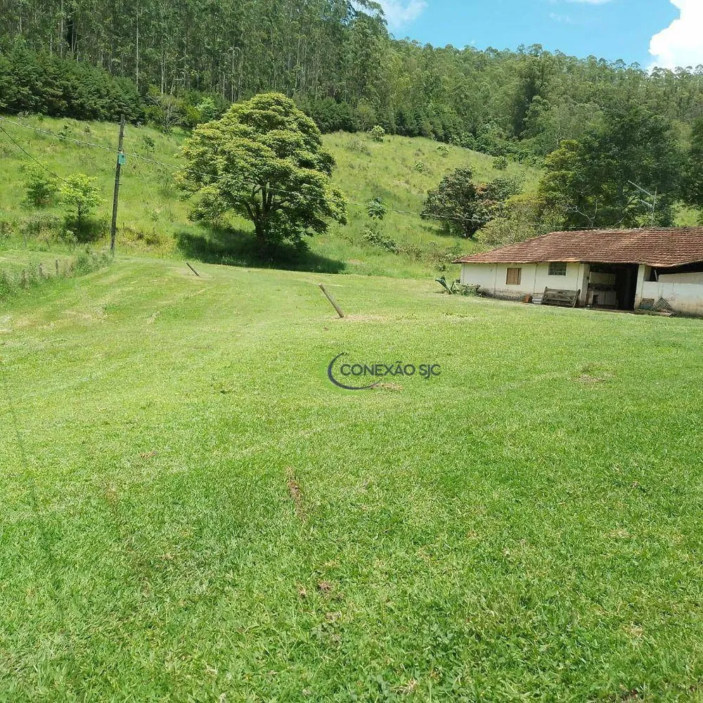 Fazenda, 145 hectares - Foto 6