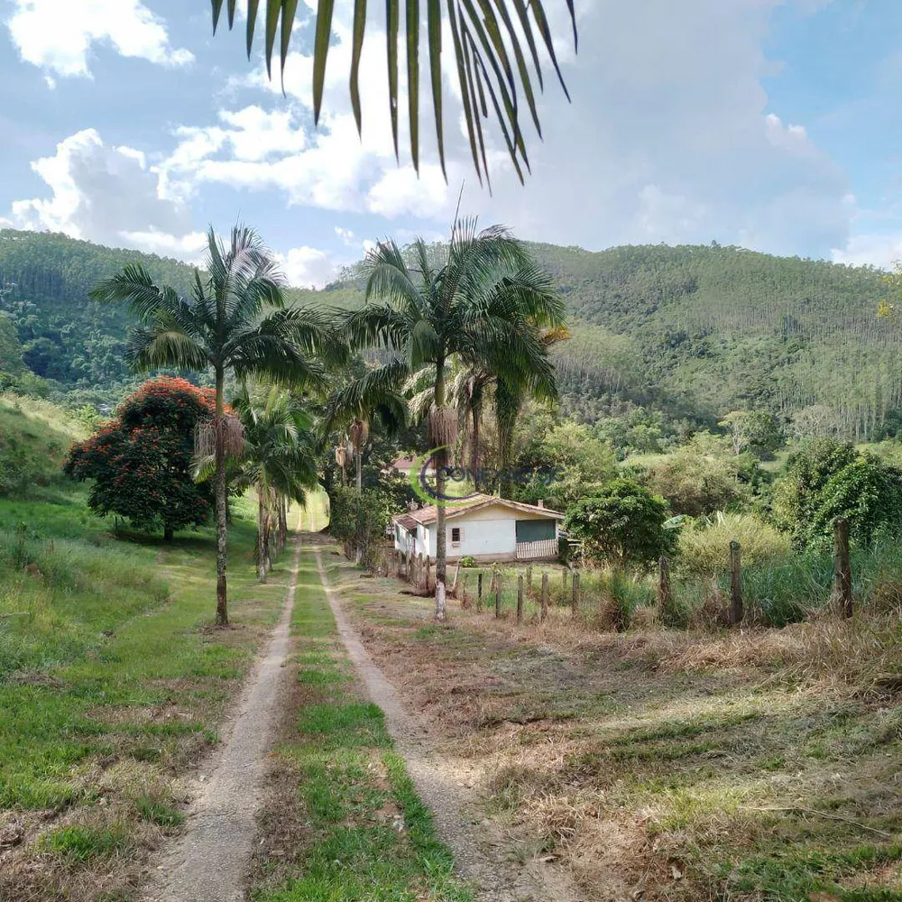 Fazenda, 145 hectares - Foto 1
