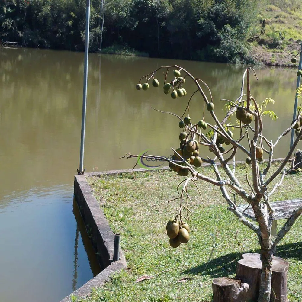 Fazenda, 145 hectares - Foto 12