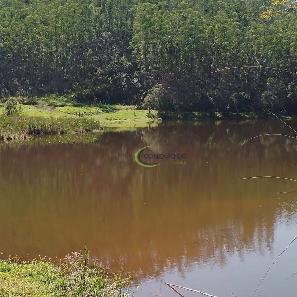 Fazenda, 145 hectares - Foto 13