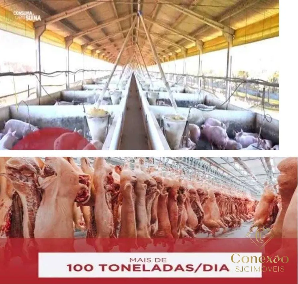 Fazenda, 1 m² - Foto 4