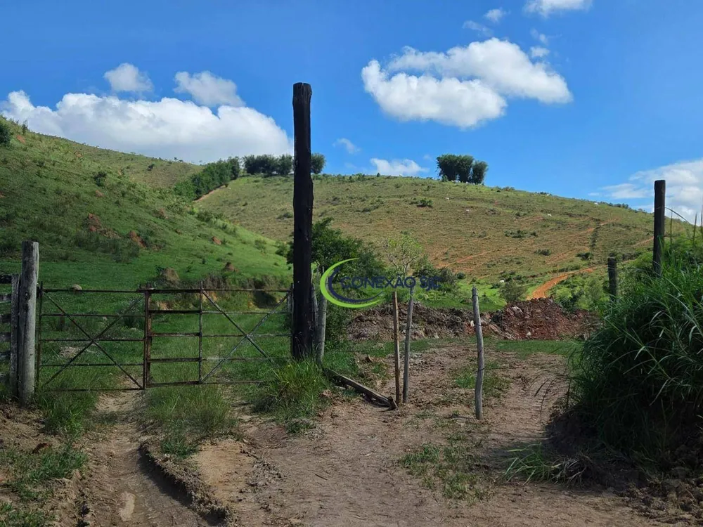 Fazenda, 281 hectares - Foto 4
