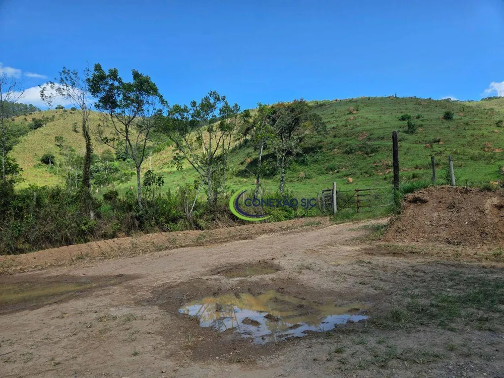 Fazenda, 281 hectares - Foto 1