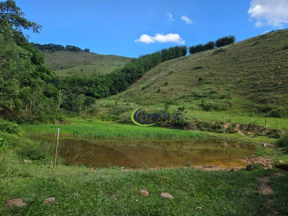 Fazenda, 281 hectares - Foto 3