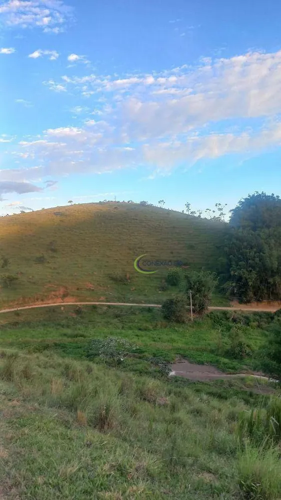Fazenda, 64 hectares - Foto 1