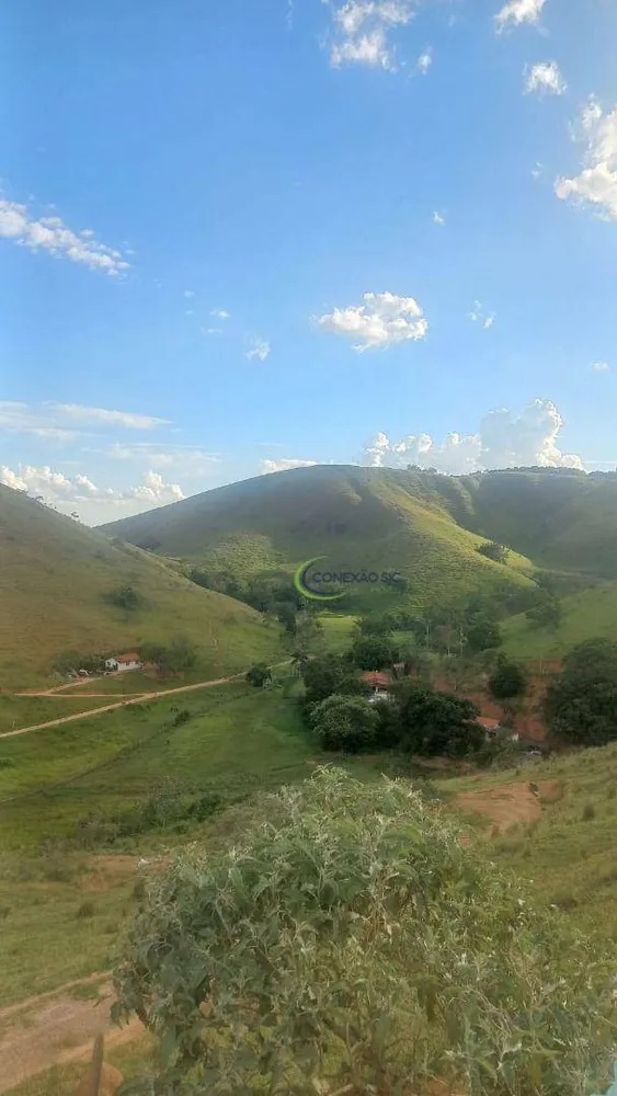 Fazenda, 64 hectares - Foto 2