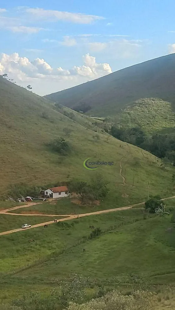 Fazenda, 64 hectares - Foto 4
