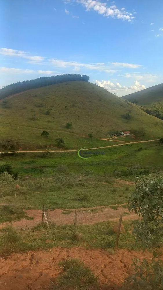 Fazenda, 64 hectares - Foto 5
