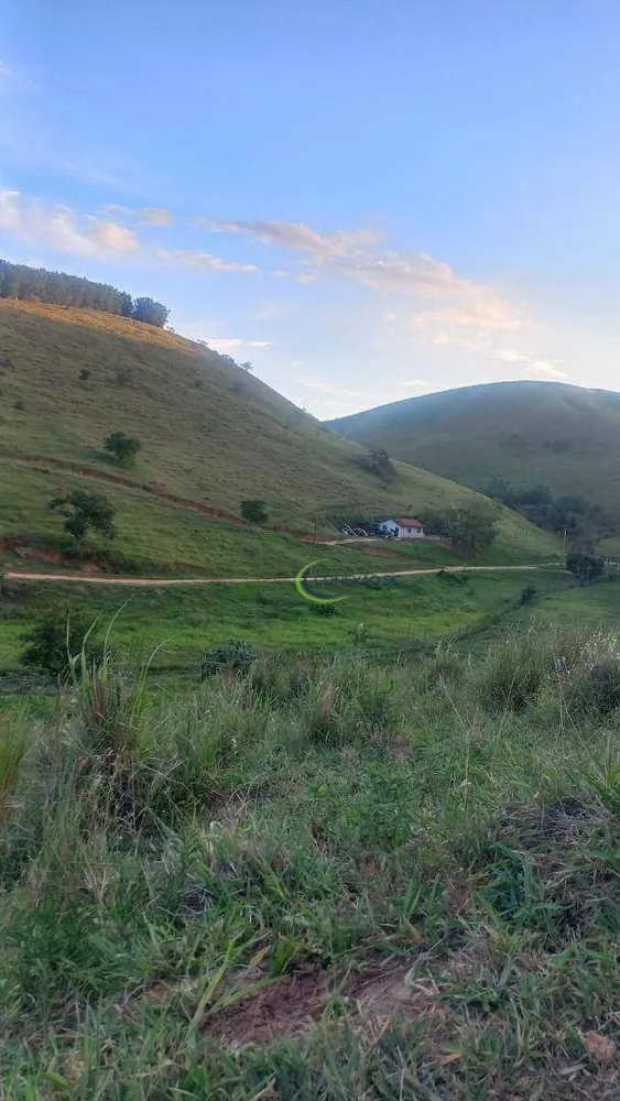 Fazenda, 64 hectares - Foto 3