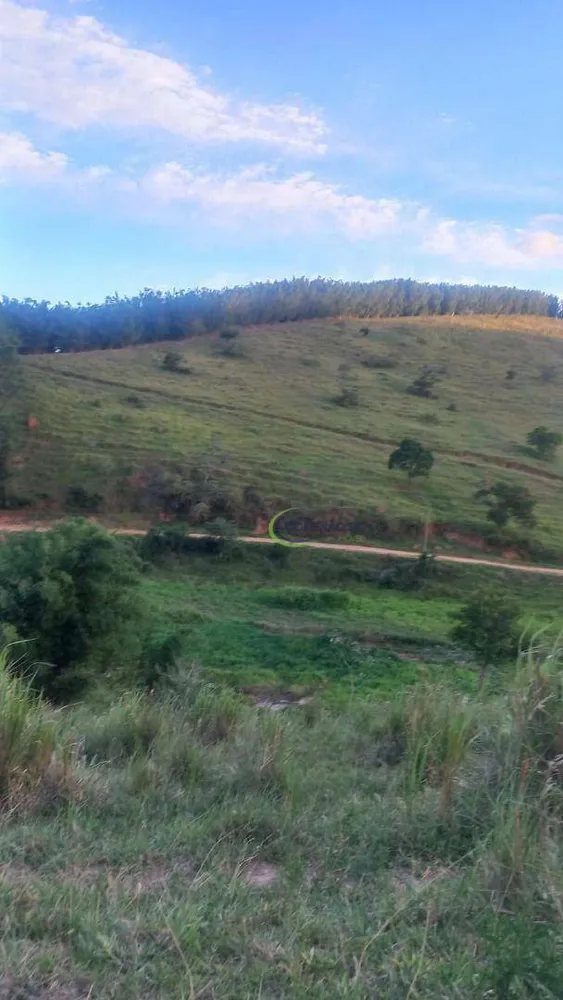 Fazenda, 64 hectares - Foto 6