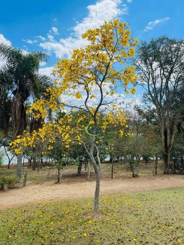 Terreno, 10 hectares - Foto 3