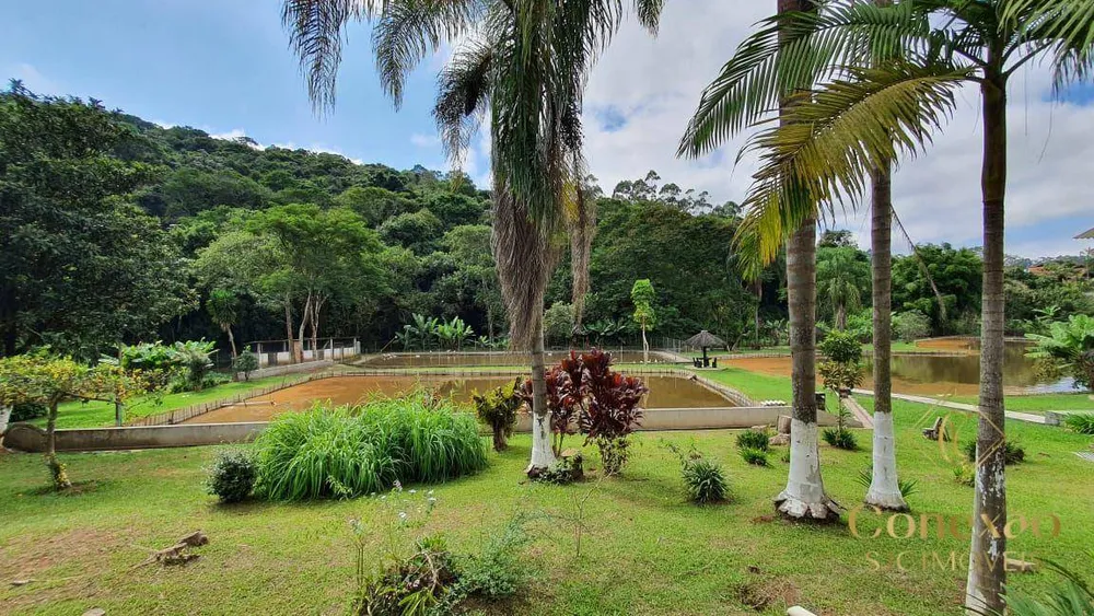 Casa, 4 quartos, 22000 m² - Foto 10