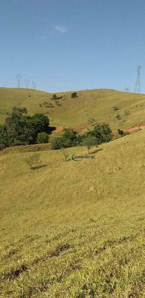 Fazenda, 56 hectares - Foto 4