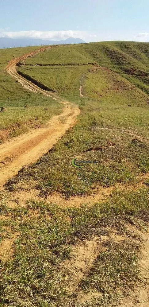 Fazenda, 56 hectares - Foto 9