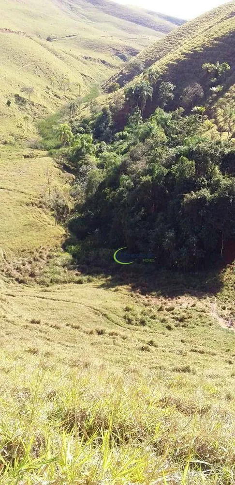Fazenda, 56 hectares - Foto 11