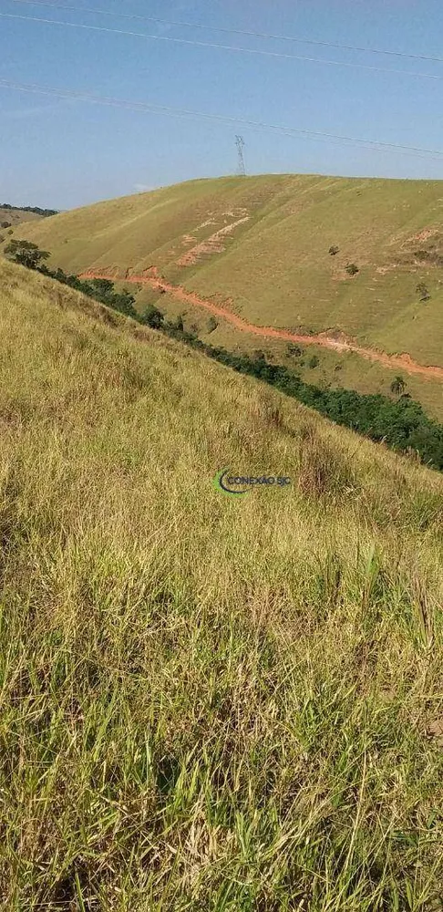 Fazenda, 56 hectares - Foto 1