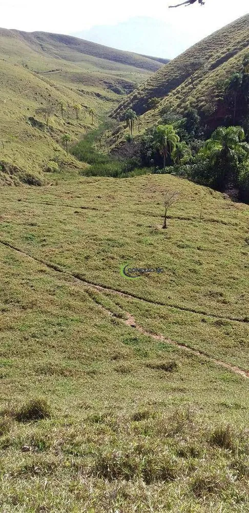 Fazenda, 56 hectares - Foto 12