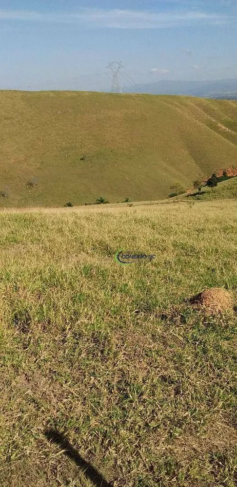 Fazenda, 56 hectares - Foto 8