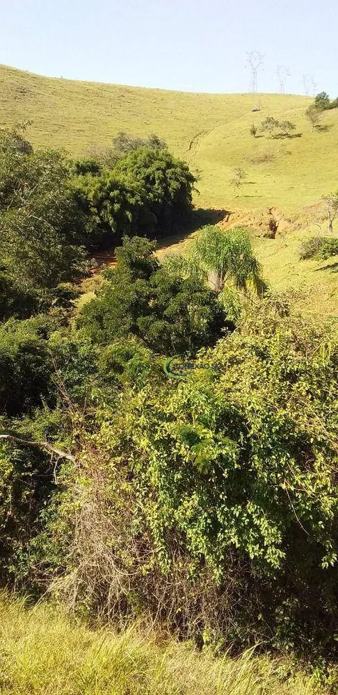 Fazenda, 56 hectares - Foto 6
