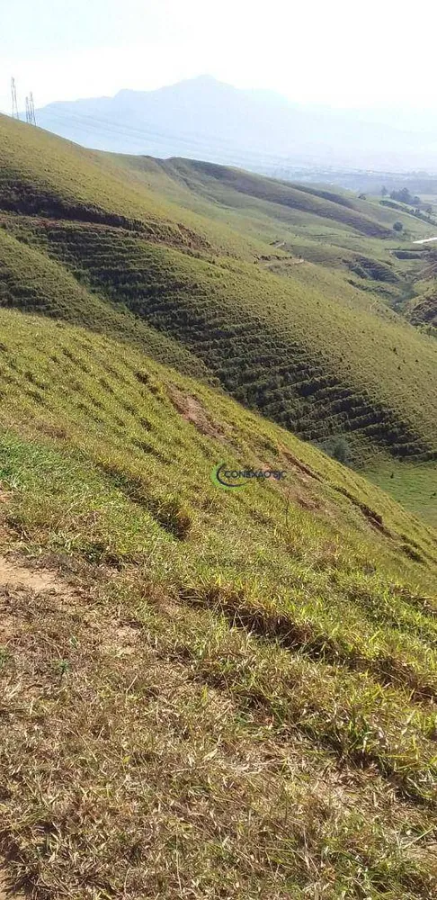 Fazenda, 56 hectares - Foto 10