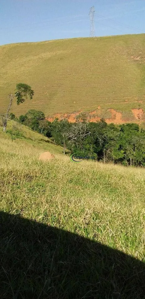 Fazenda, 56 hectares - Foto 7