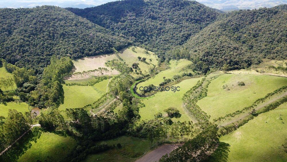 Fazenda à venda com 4 quartos, 320000000M2 - Foto 6
