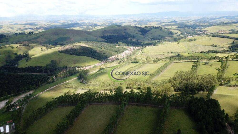 Fazenda à venda com 4 quartos, 320000000M2 - Foto 5
